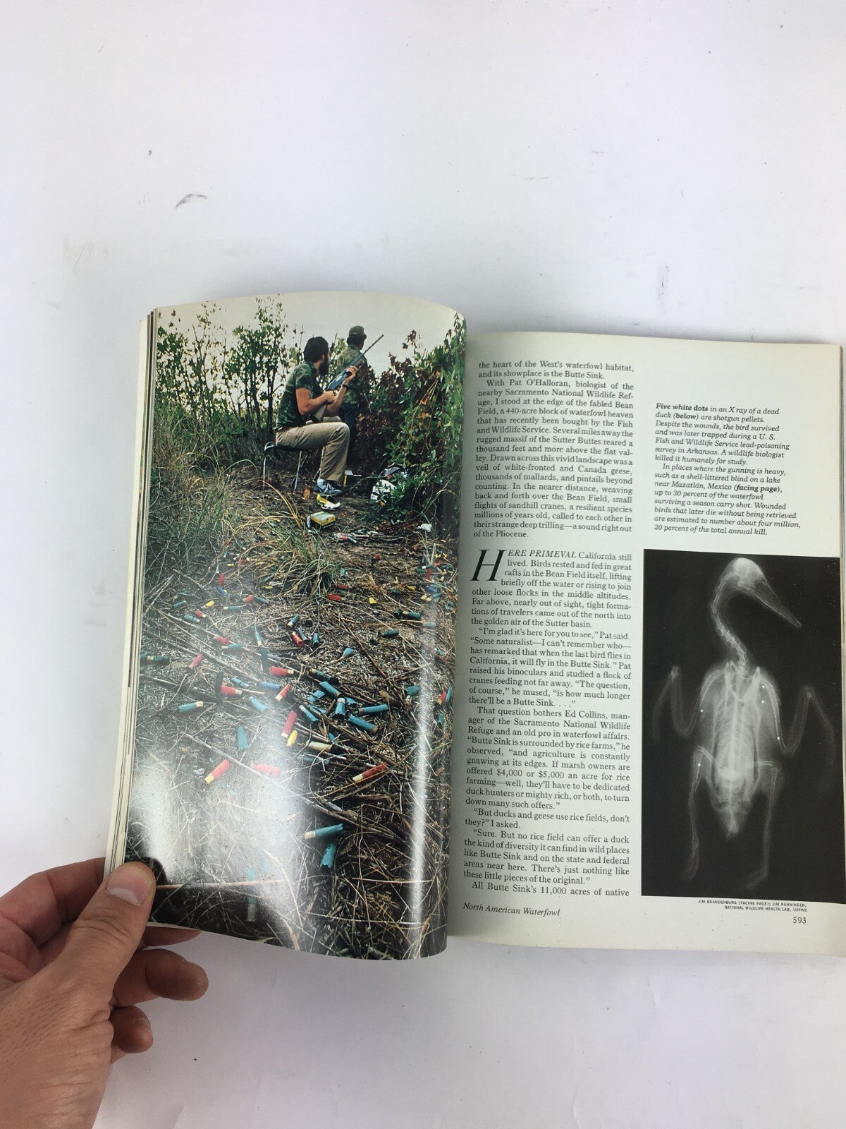 November 1984 National Geographic Magazine American Waterfowl Africa Adorned