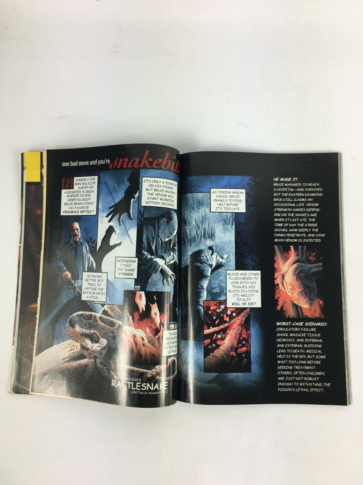 May 2005 National Geographic Magazine Poison 12 Toxic Tales Wide Wild West