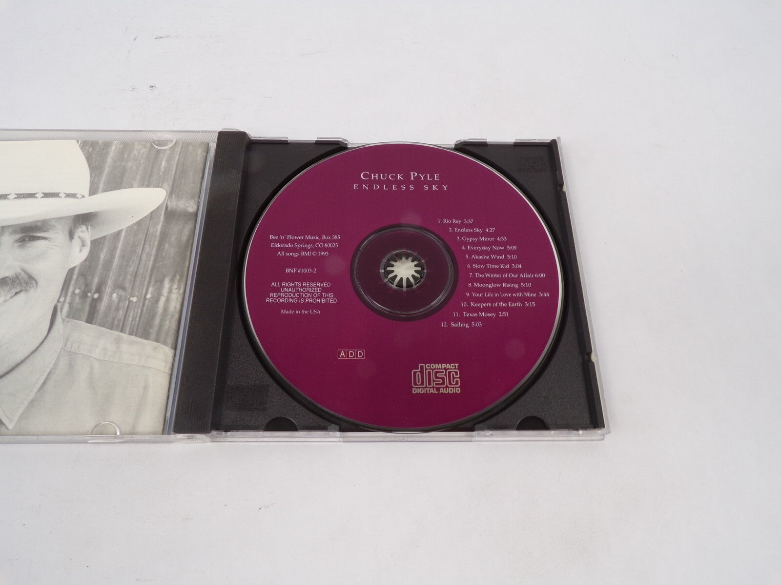Chuck Pyle Endless Sky Rio Rey Gypsy Minor Everyday Now Akasha Wind Slow CD#68