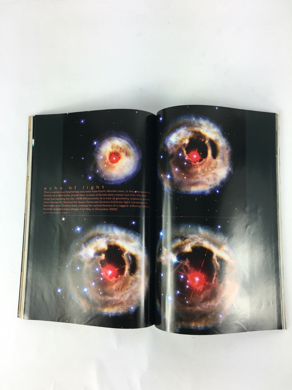 December 2003 NationalGeographic Magazine The Future of Flying Hot PinkFlamingos
