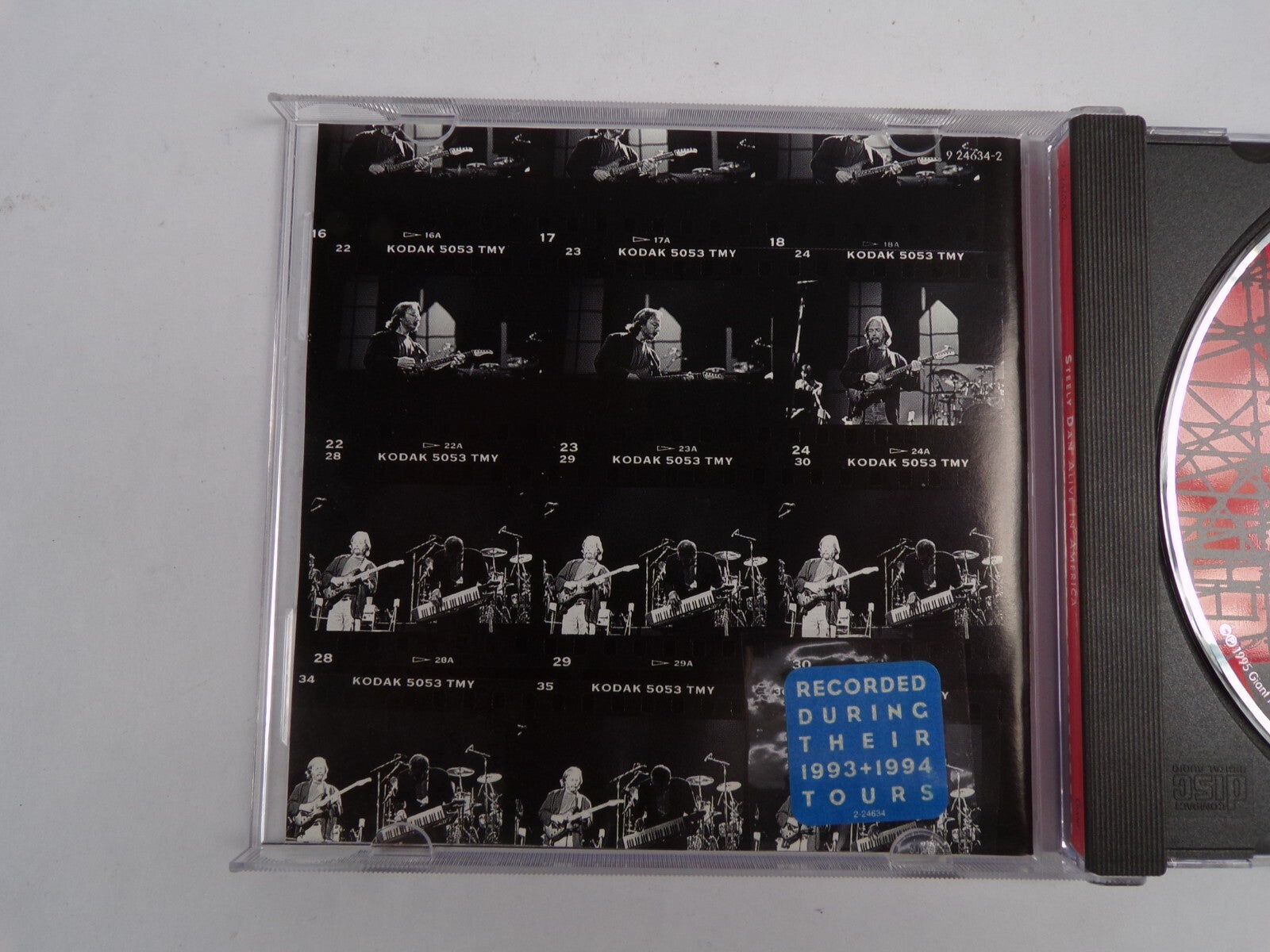 Steely Dan Alive In America Babylon Sisters Green Earrings Budhisattva CD#41