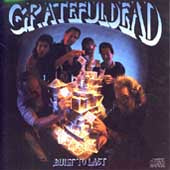 Grateful Dead - Built To Last CD (1989 ARCD 8575). #15