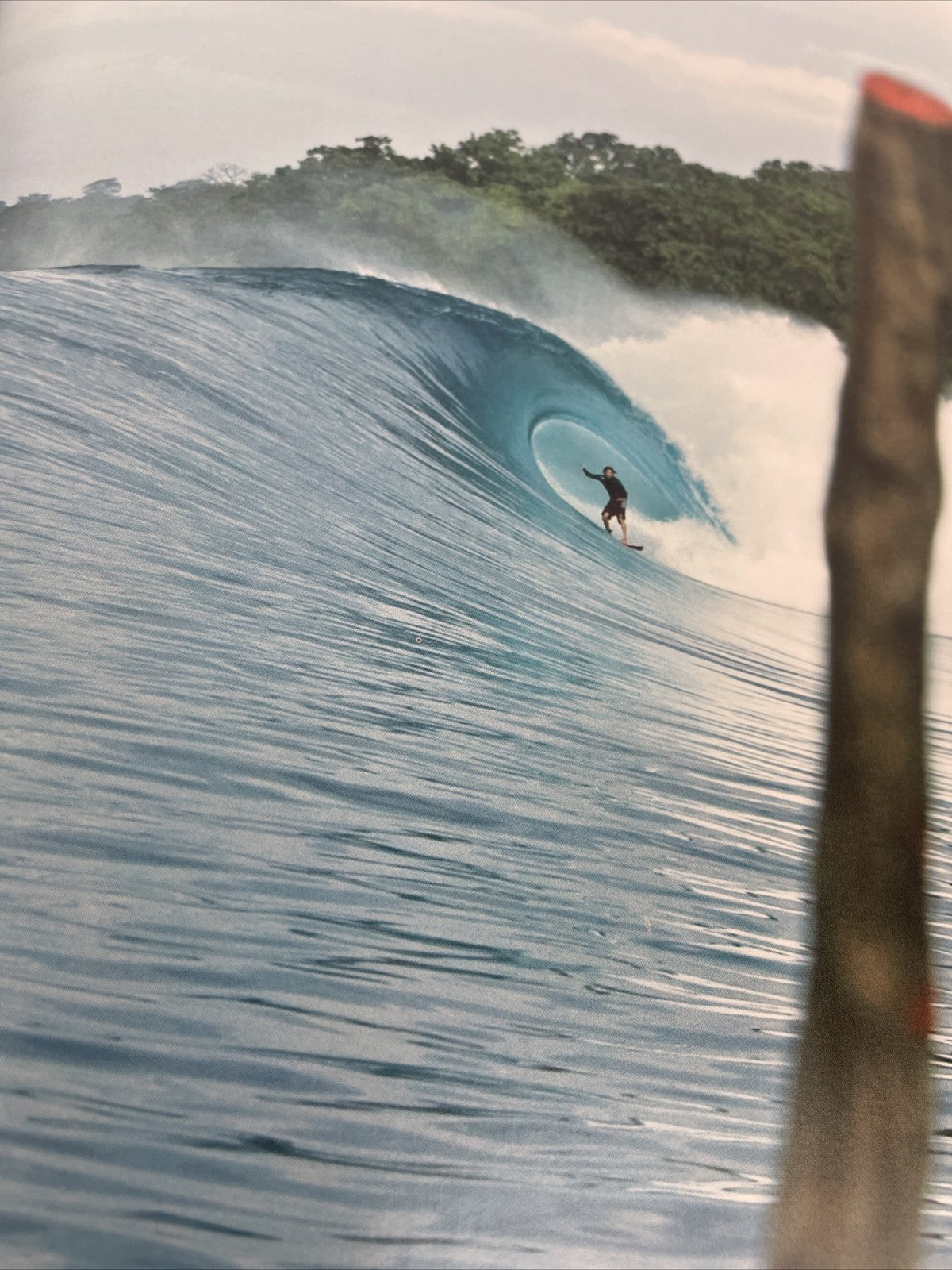The Surfer's Journal Volume NINETEEN 19 Number ONE 1 Brazilian Meat Carlos Burle
