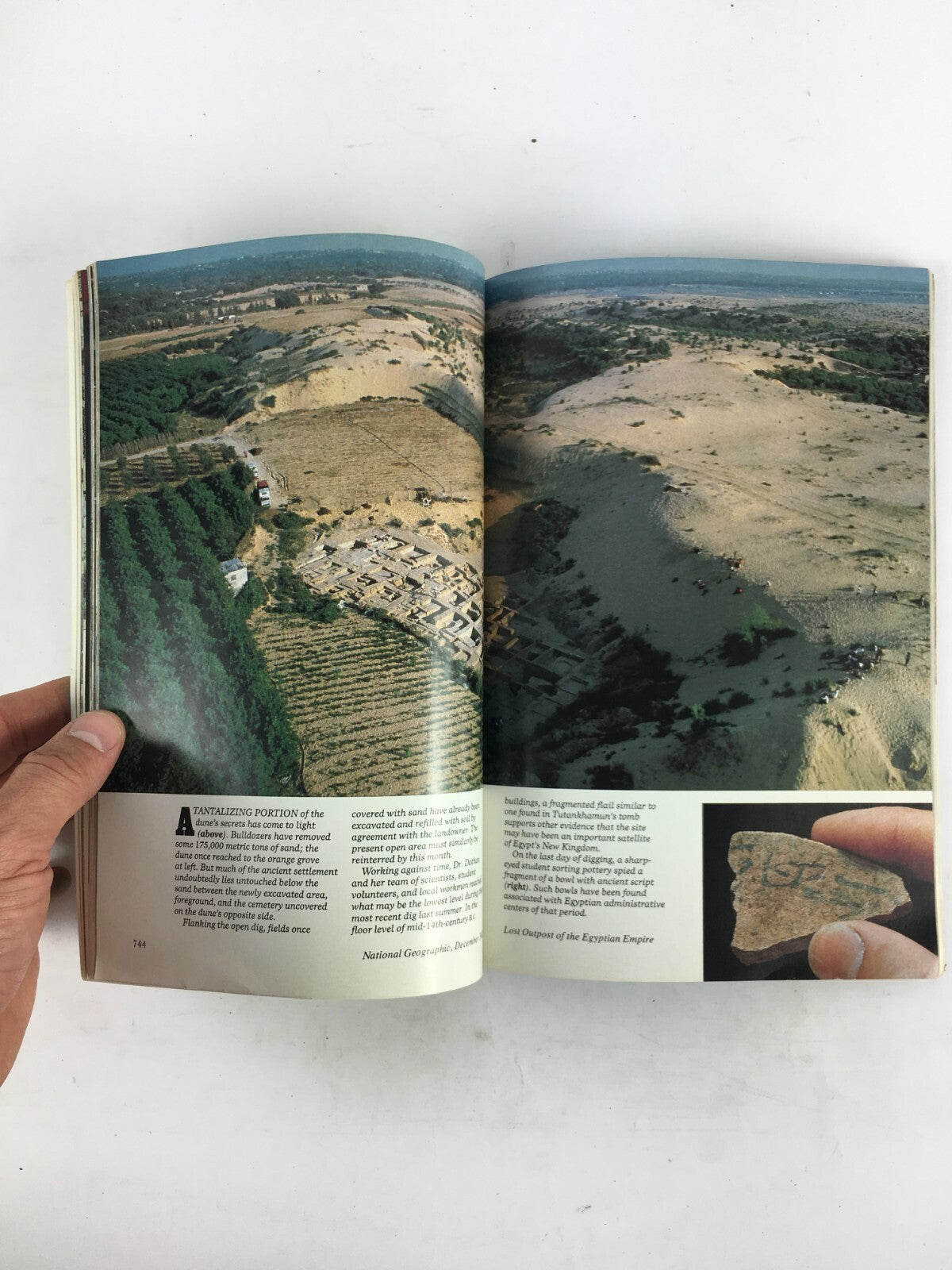 December 1982 National Geographic Magazine Family life Lions The Mediterranean