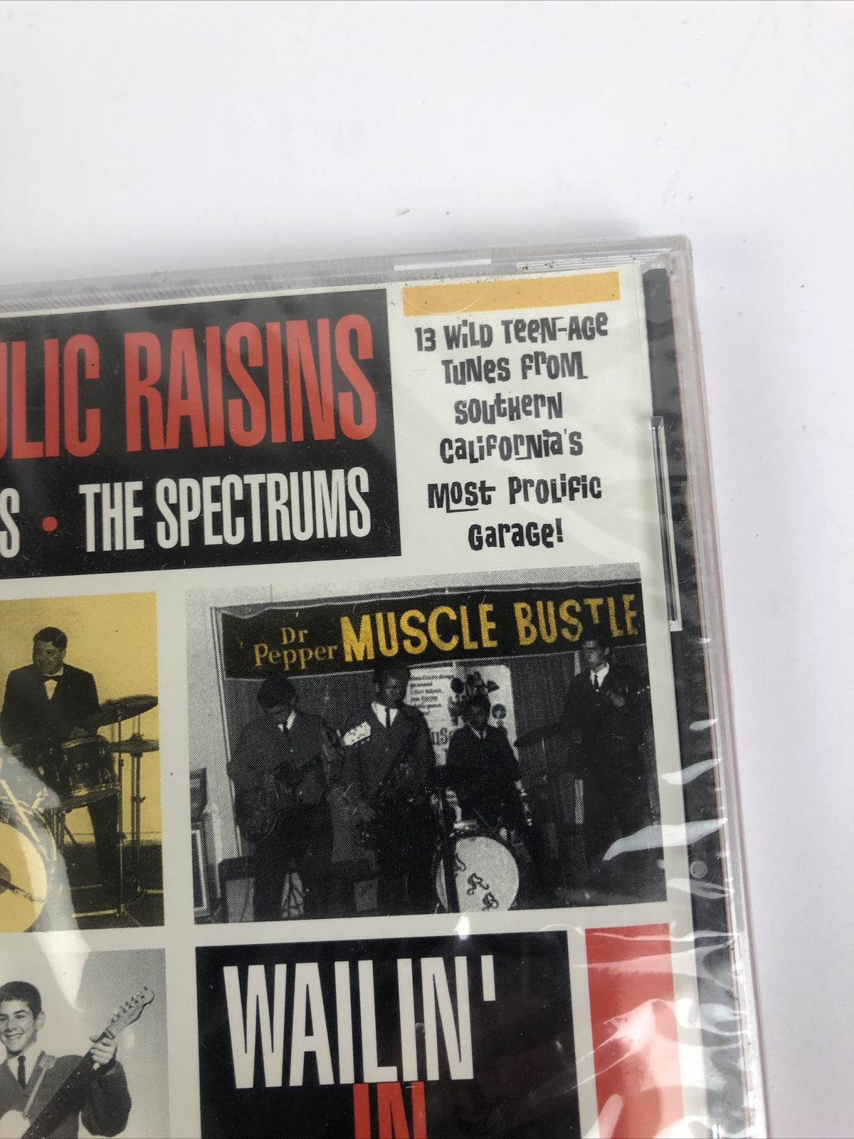 NEW The Hydraulic Raisins The Rhythm Surfers The Spectrums Big City Surfer CD#34