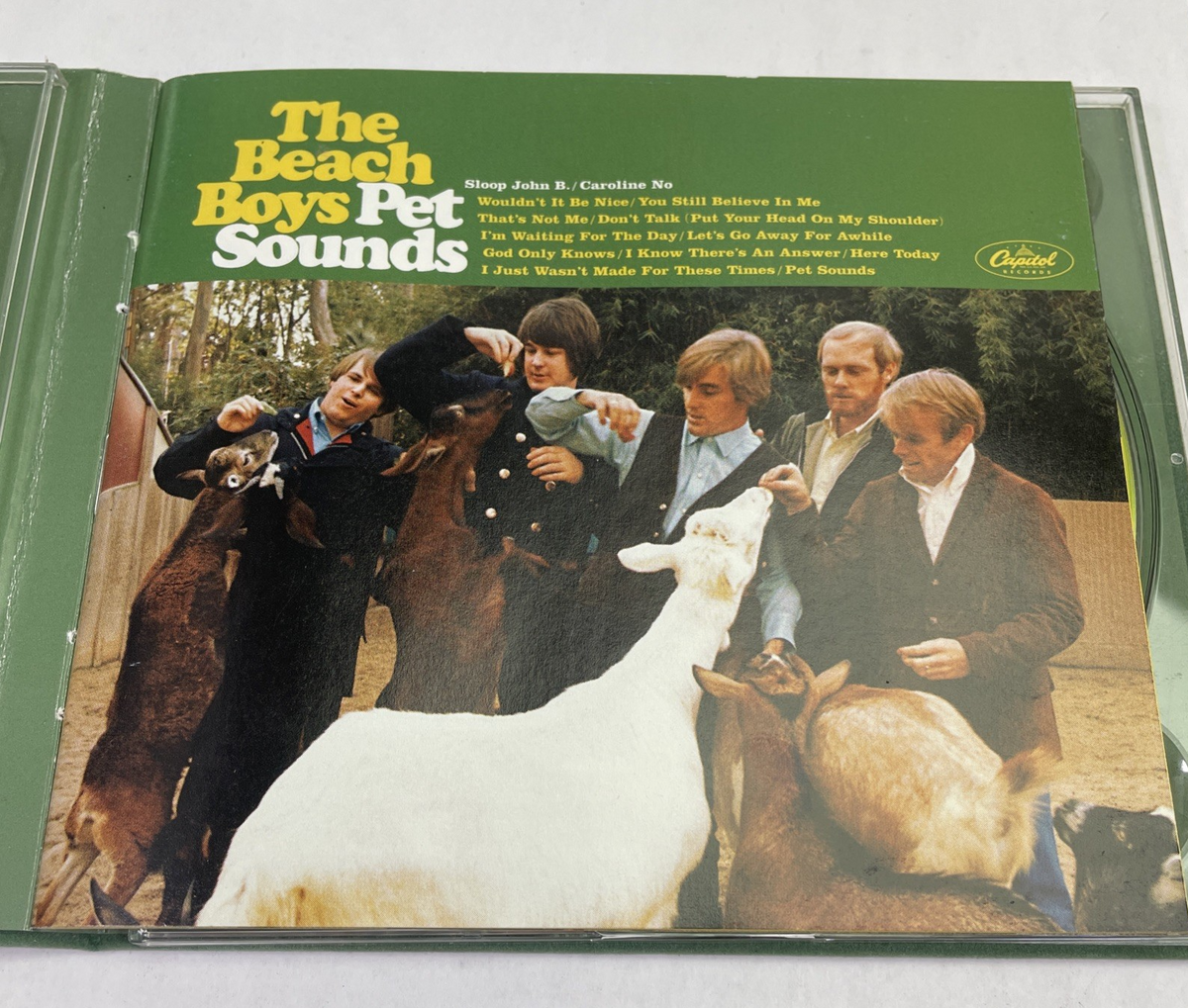 The Beach Boys Pet Sounds 40th Anniversary Edition CD DVD Flocked OOP Mint Discs