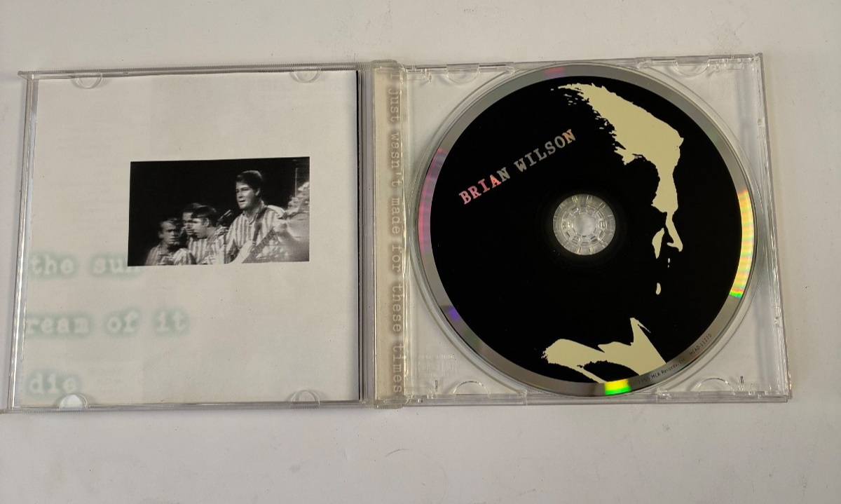 I Just Wasn't Made For These Times Brian Wilson MCA Records CD 1995