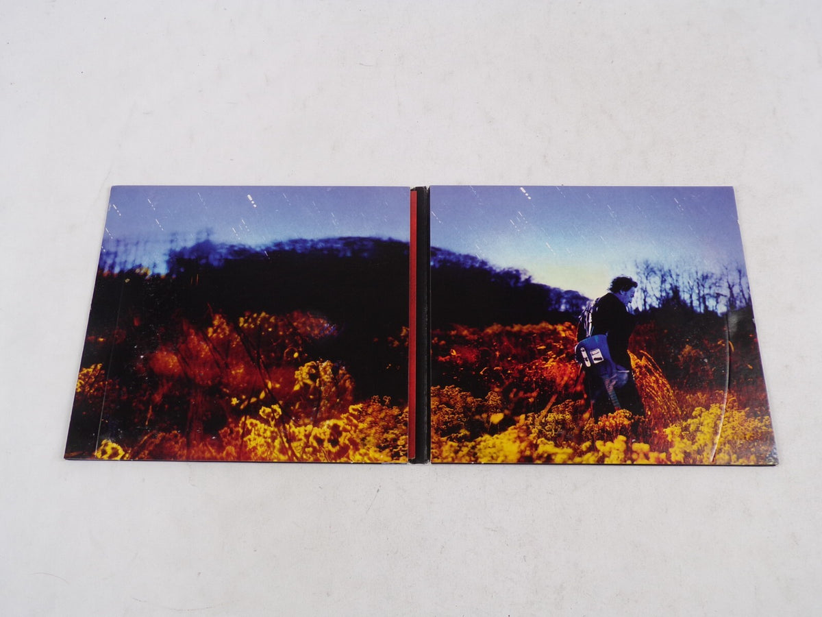 Bruce Springsteen Workingon A Dream Qutlaw Pete My Lucky Day Working CD#58