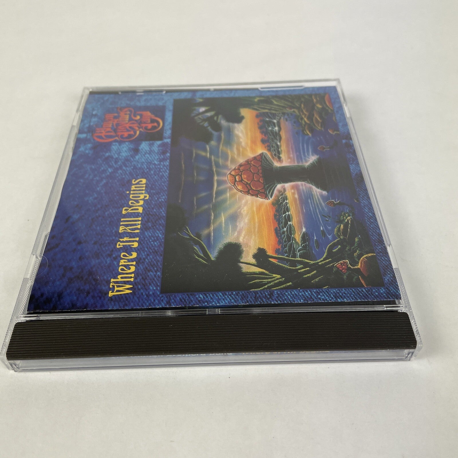 The Allman Brothers Band -Where It All Begins CD (1994)   #28 