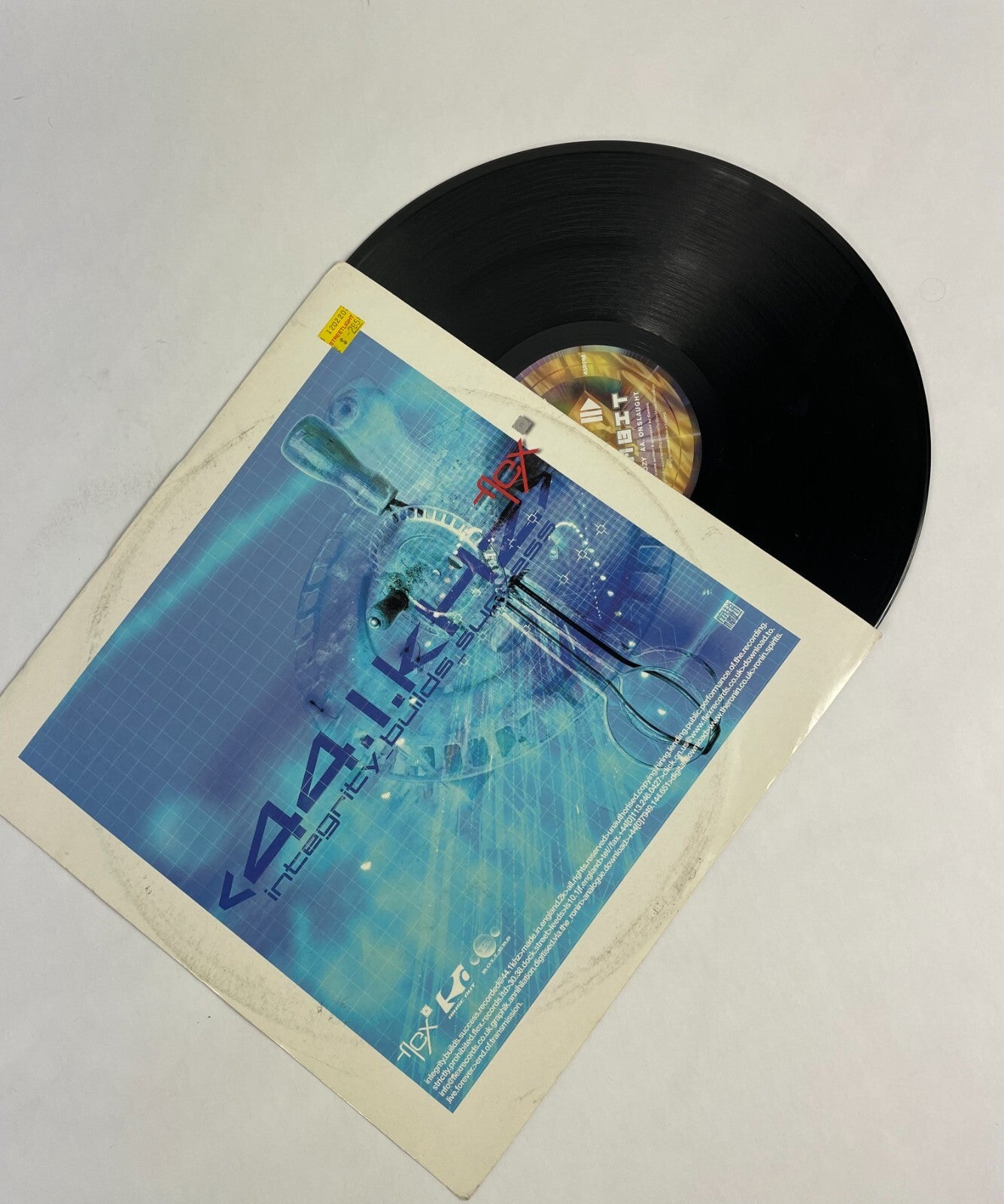 44.1.kHz Integrity Builds Success Vinyl Record