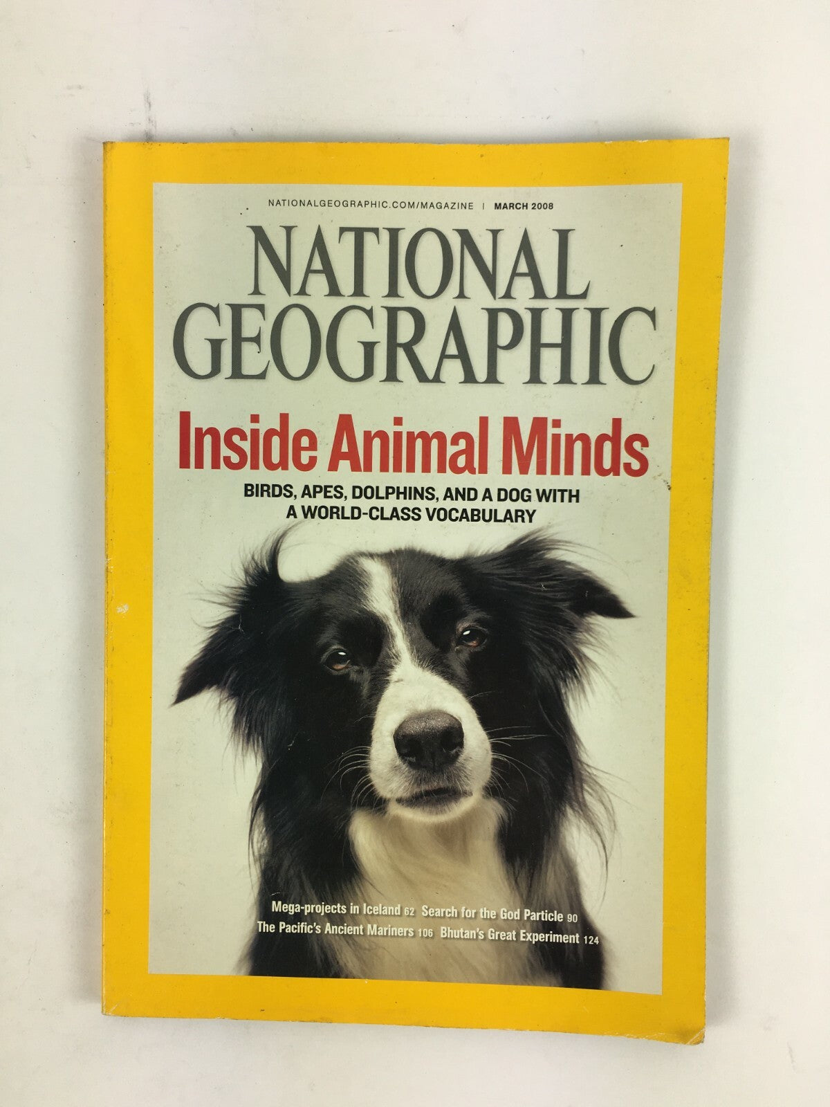March 2008 National Geographic Magazine Inside Animal Minds Birds Apes Dolphins