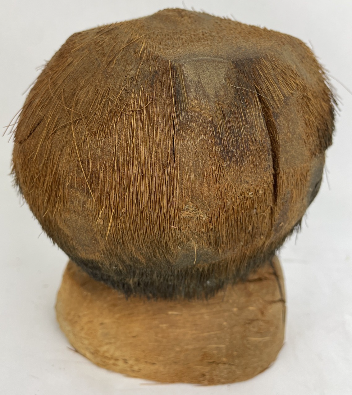 Coconut Carved Hand Made Tribal Native Head Decor Google Eyes Very Creepy