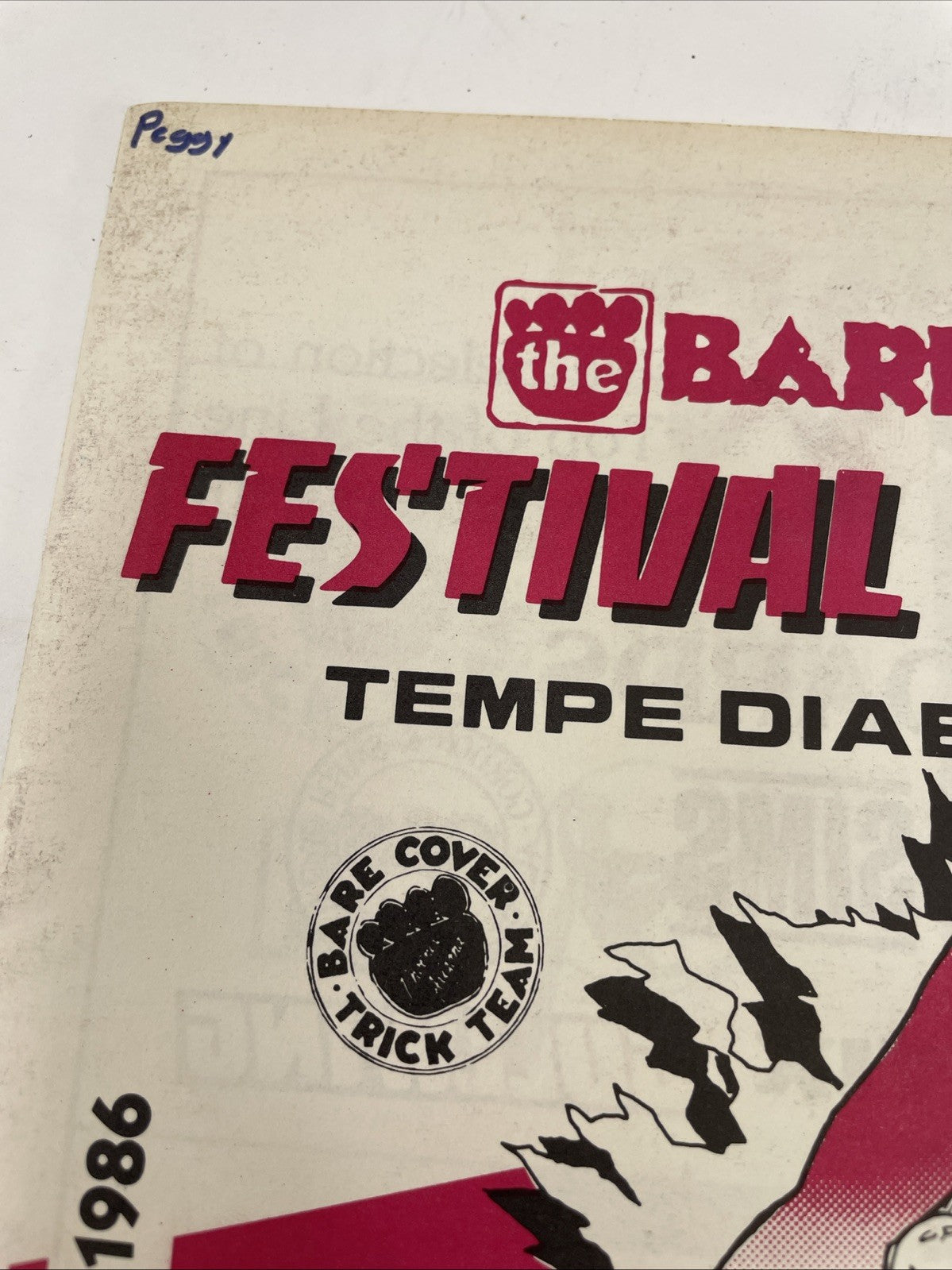 Bare Cover " Festival of Sports " NSA Skateboarding Skateboard Contest Program