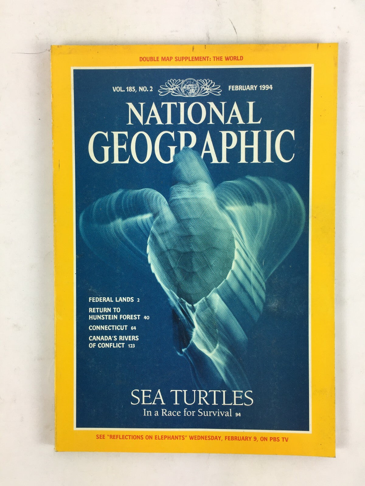 February 1994 National Geographic Magazine Sea Turtles In a Race for Survival