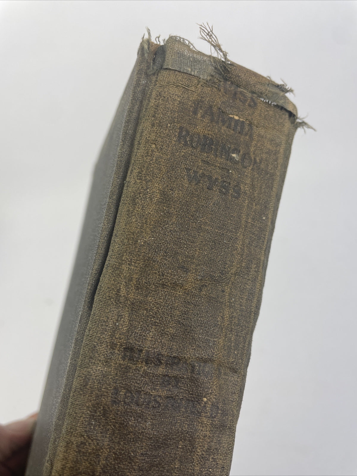 THE SWISS FAMILY ROBINSON  BY David Wyss Illustrated by Louis Rhead - 1909 VTG