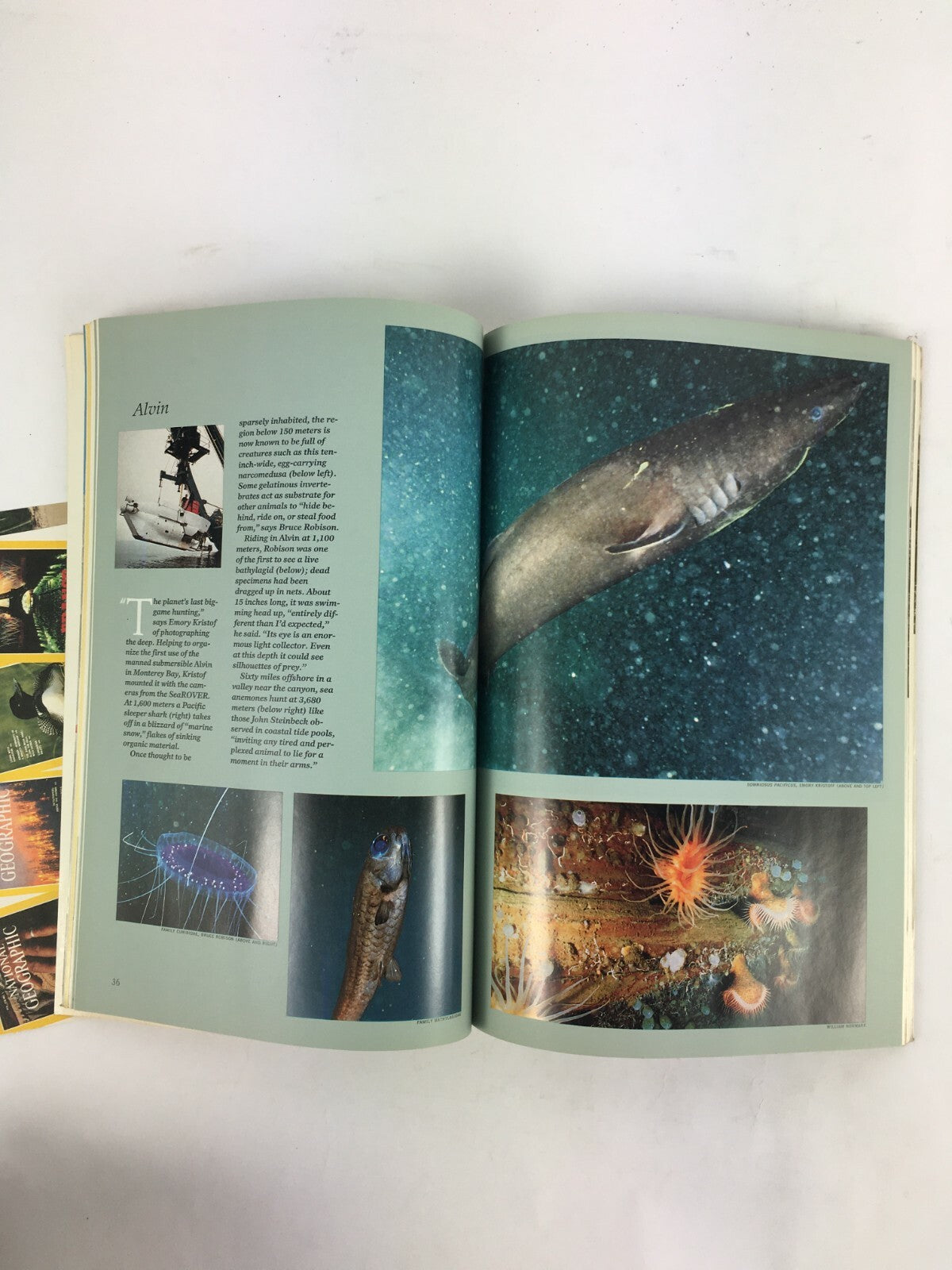 February 1990 National Geographic Magazine Between Monterey Tides Soviet Sea