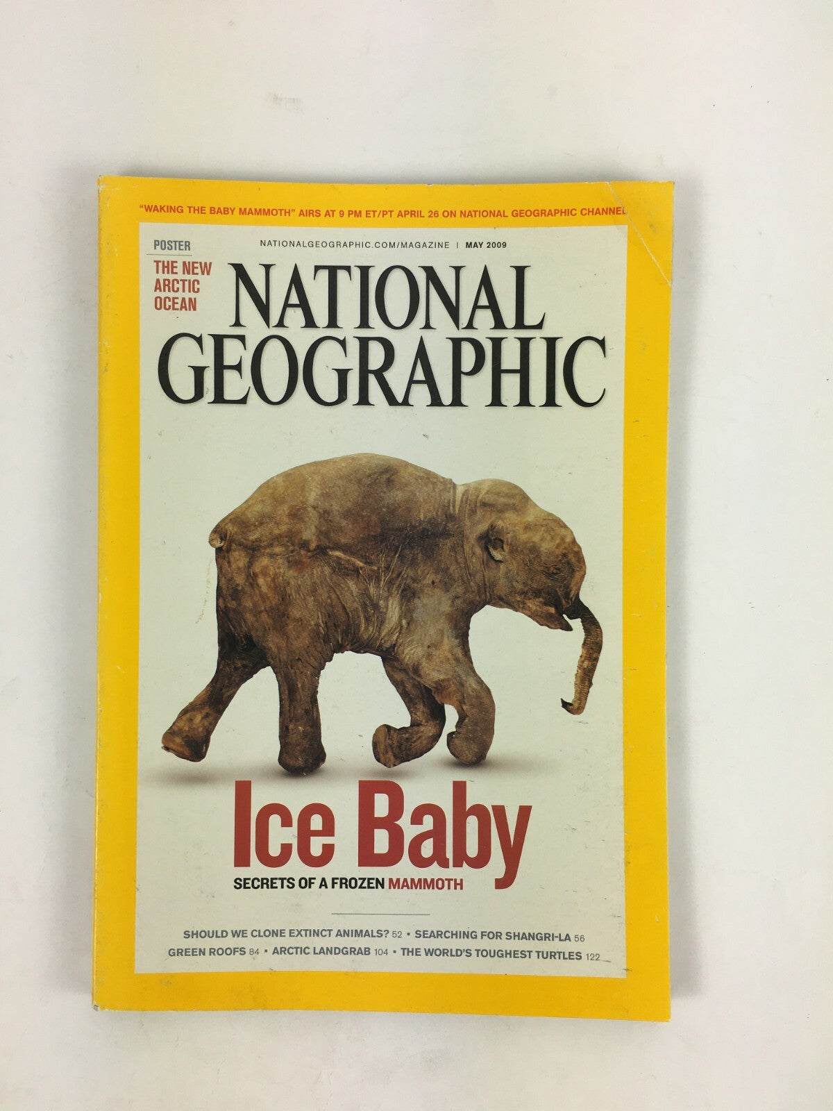 May 2009 National Geographic Magazine Ice Baby Secrets of a Frozen Mammoth