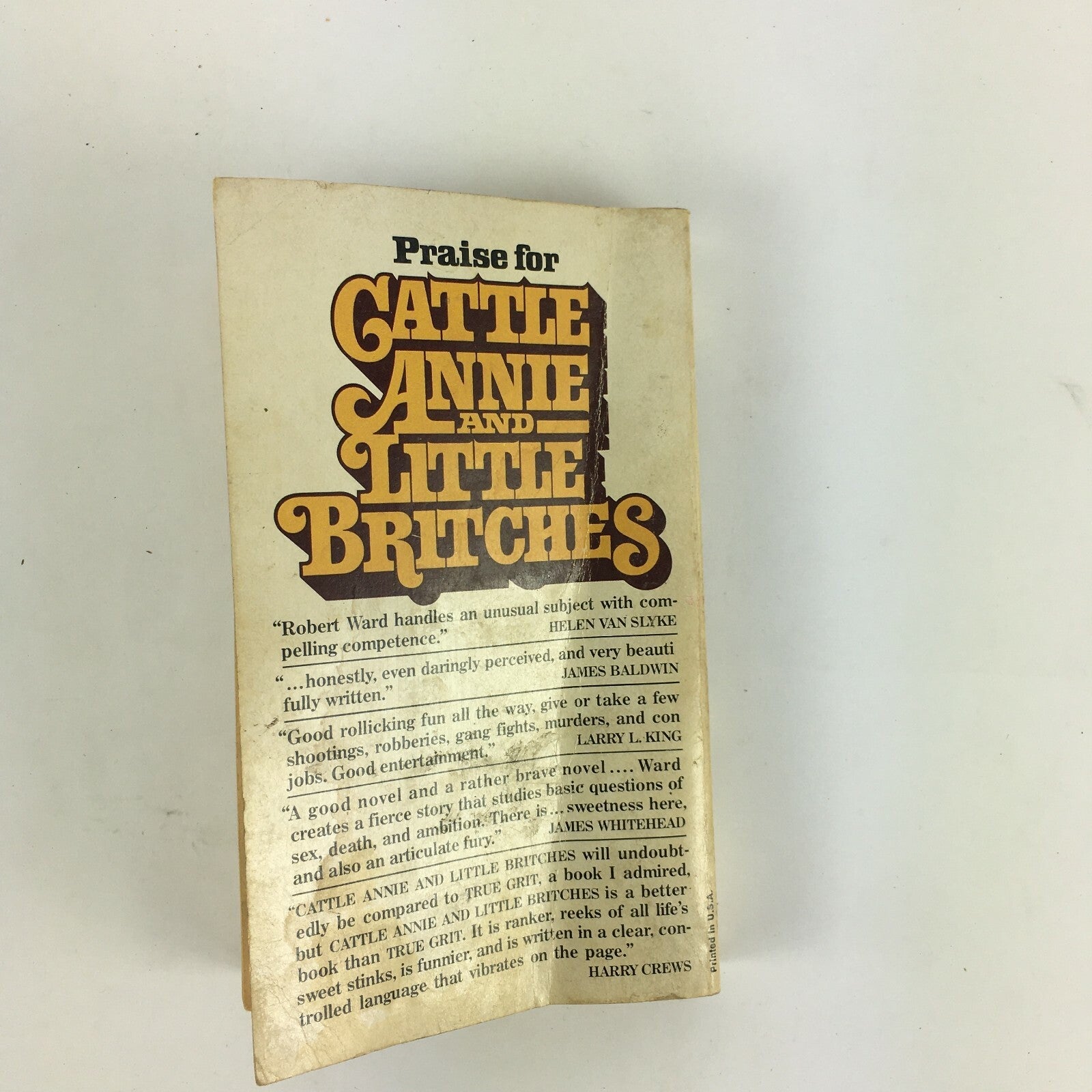 Cattle Annie and Little Britches Robert Ward
