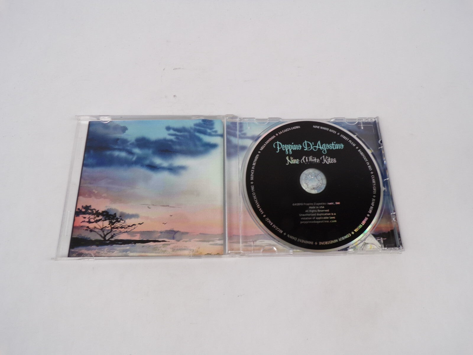 Peppino D'Agostino Nine White Kites Street Pulse Barefoot In Rio Clare's CD#69