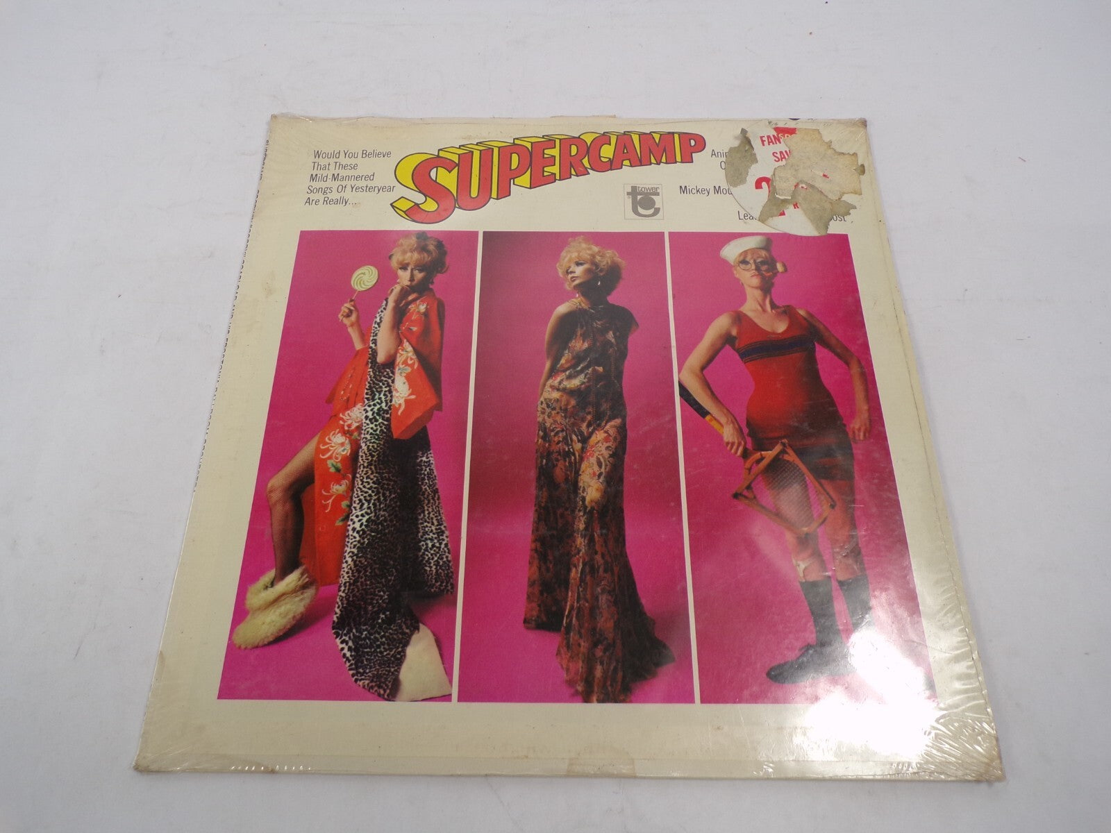 Supercamp Goodwin Goody Goodload Frostonia Ballroom Orchestra Vinyl Records