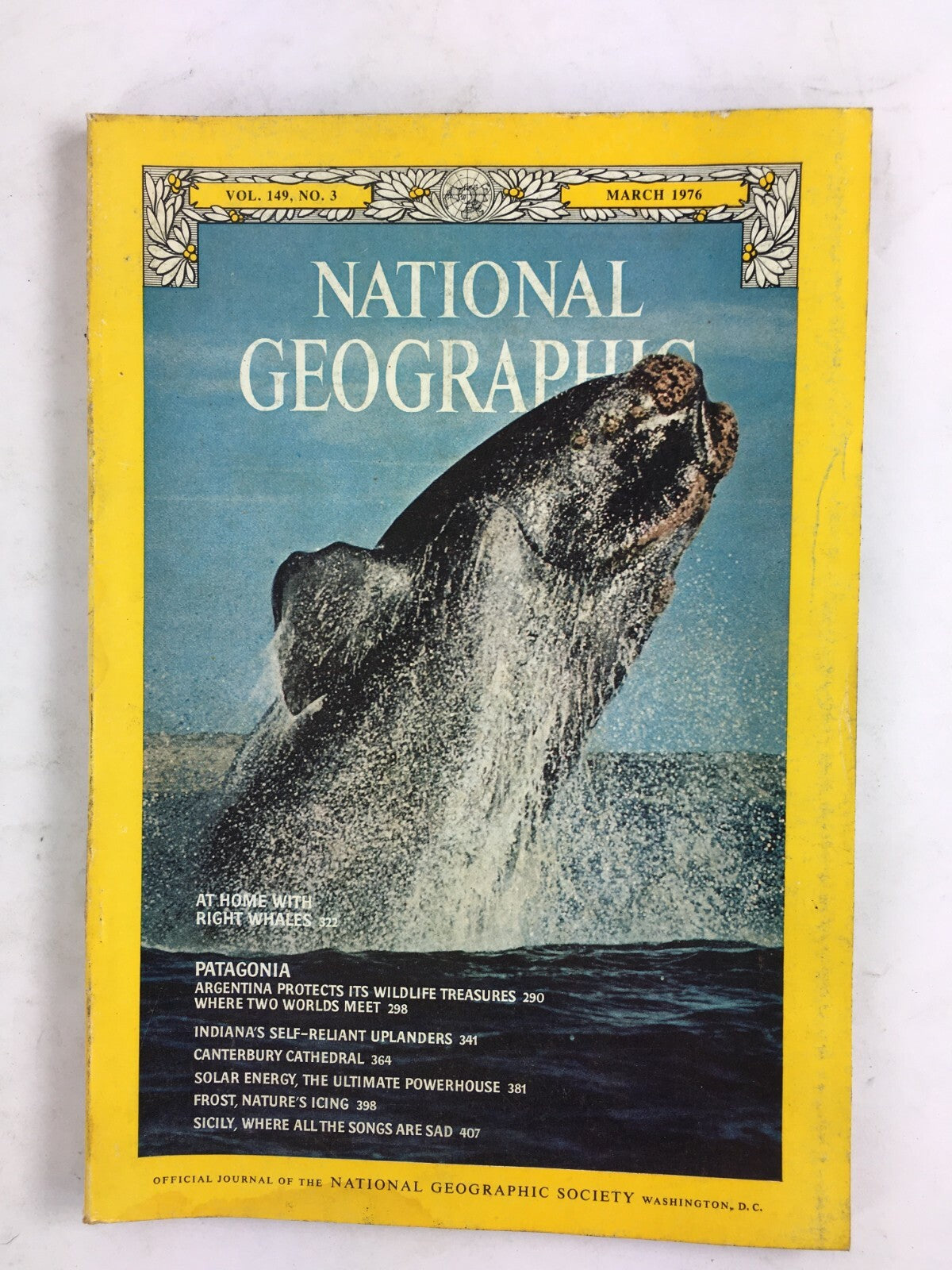 March 1976 National Geographic Magazine At Home with Right Whales Patagonia