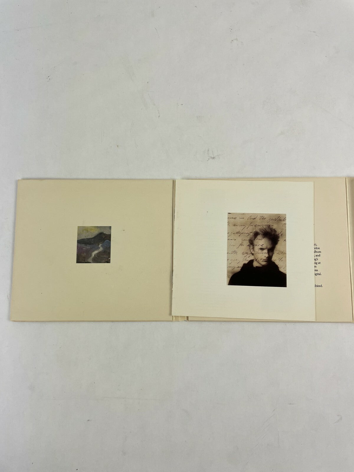 Sting The Soul Cages Hugh Padghum Sting CD Q3