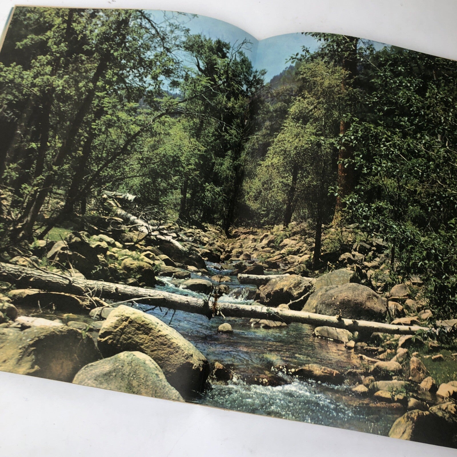 Vintage ARIZONA HIGHWAYS Magazine - June  1963 Featuring Canyon Creek * VGC *