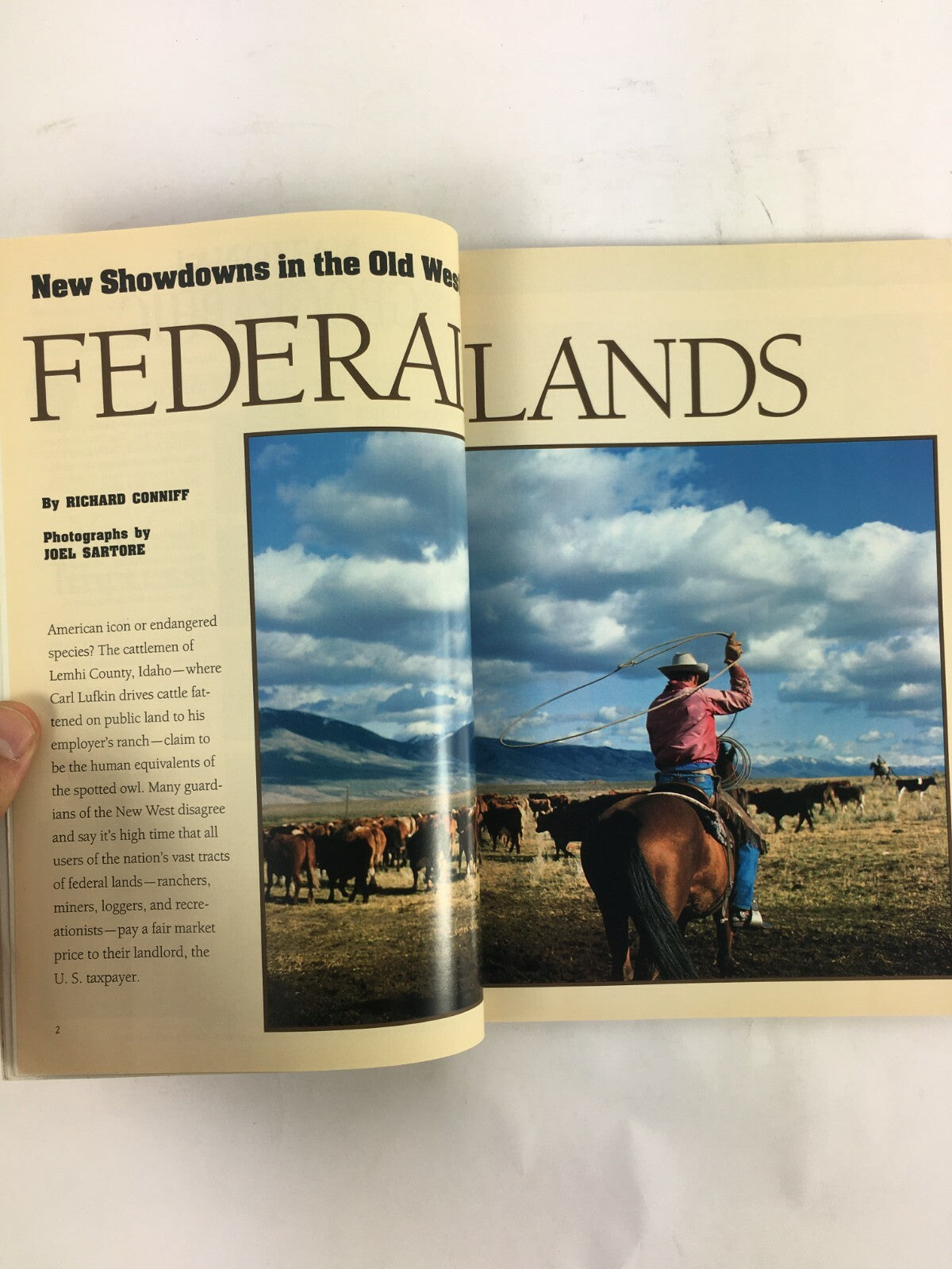 February 1994 National Geographic Magazine Sea Turtles In a Race for Survival