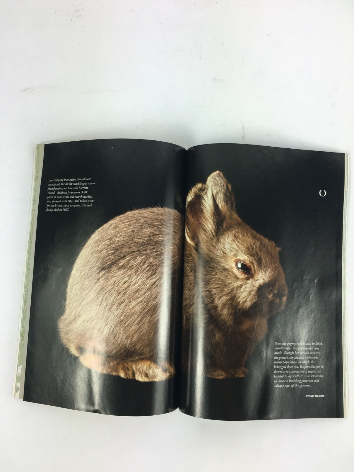 January 2008 National Geographic Magazine Gold The True Cost of Global Obsession