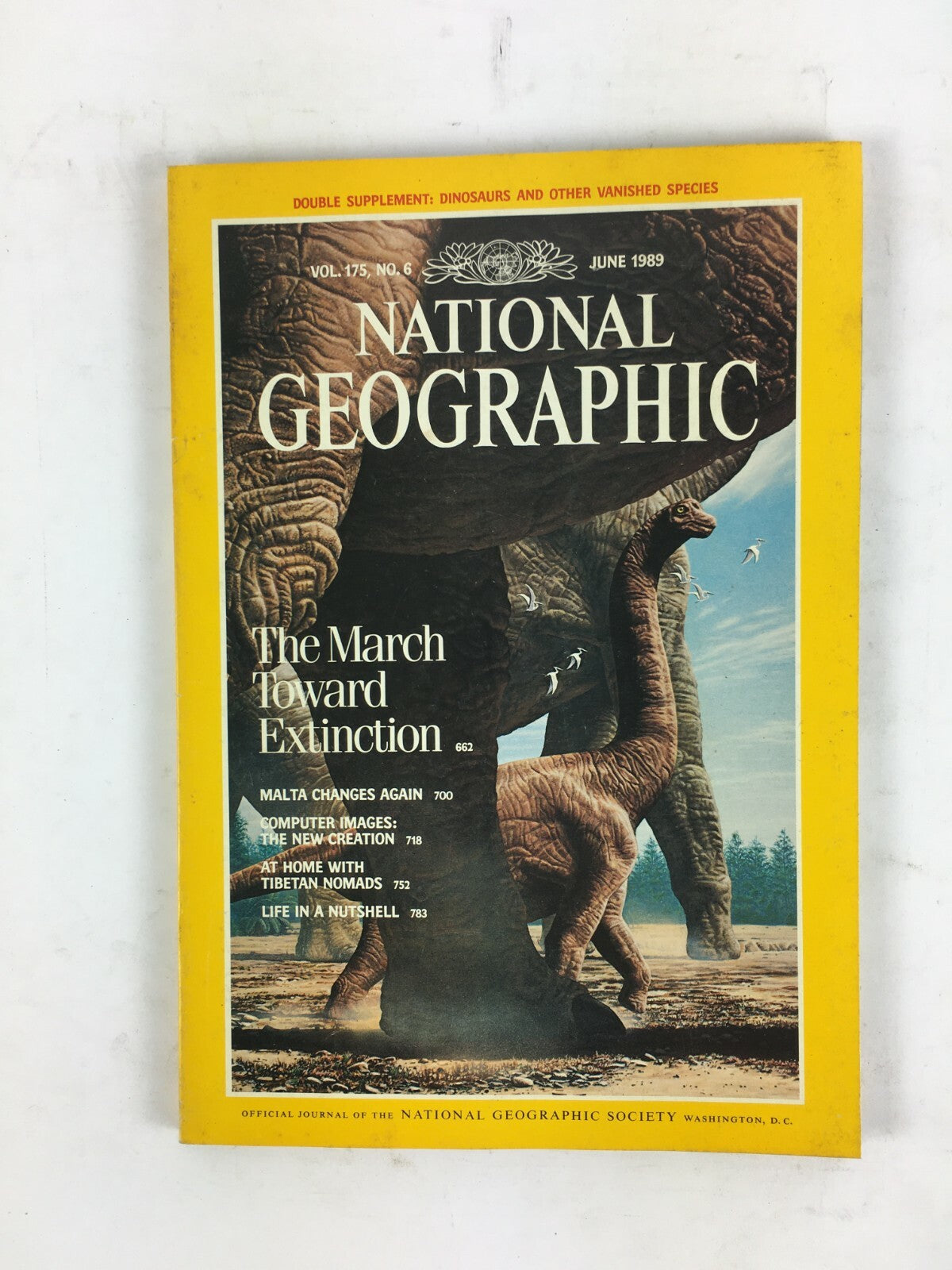 June 1989 National Geographic Magazine The March Toward Extinction Malta Changes