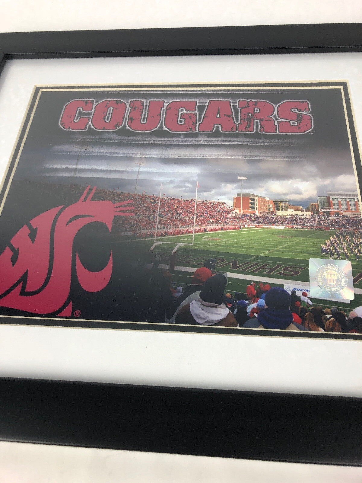 WC Washington Cougars Officially Licensed Framed Matted Stadium Photo Picture