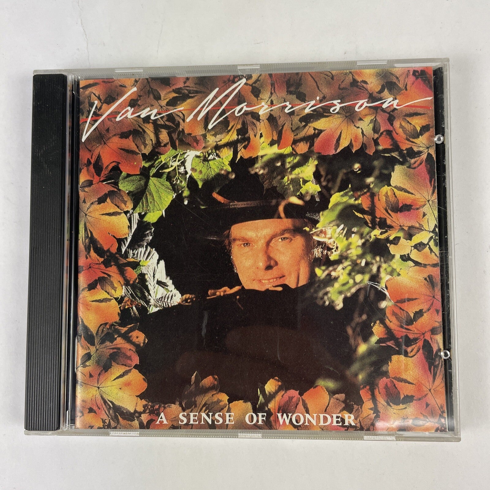 Van Morrison ‎– A Sense Of Wonder (1984)    #16