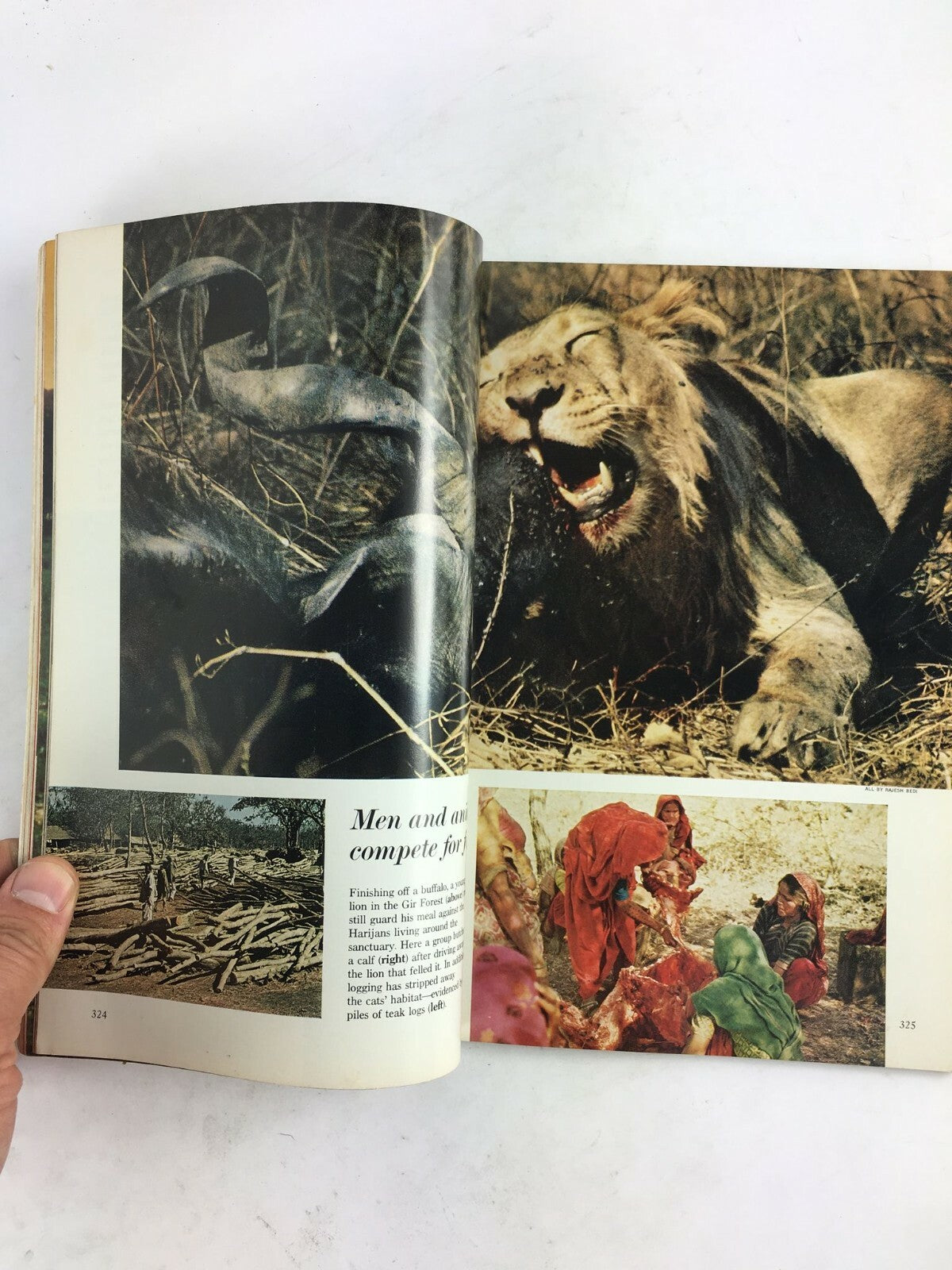 September 1976 National Geographic Magazine India Struggles To Save Her Wildlife