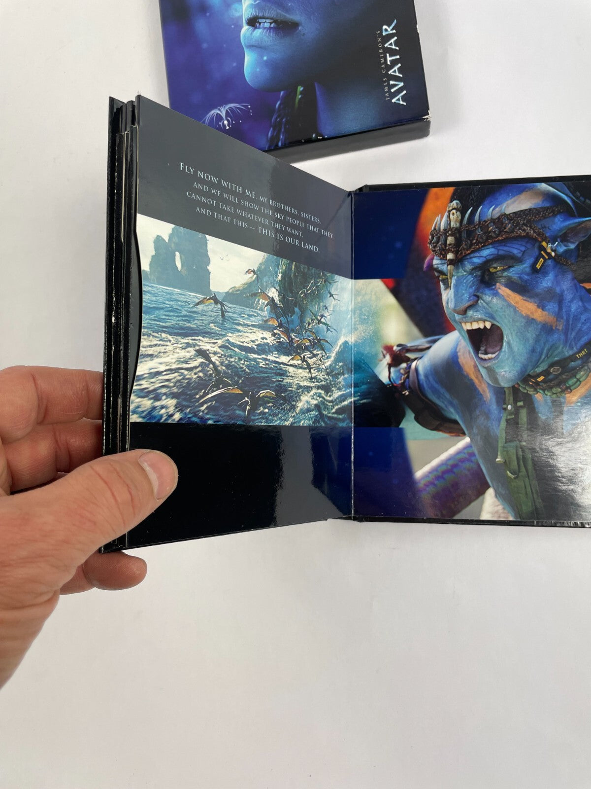 James Cameron's Avatar DVD Movie