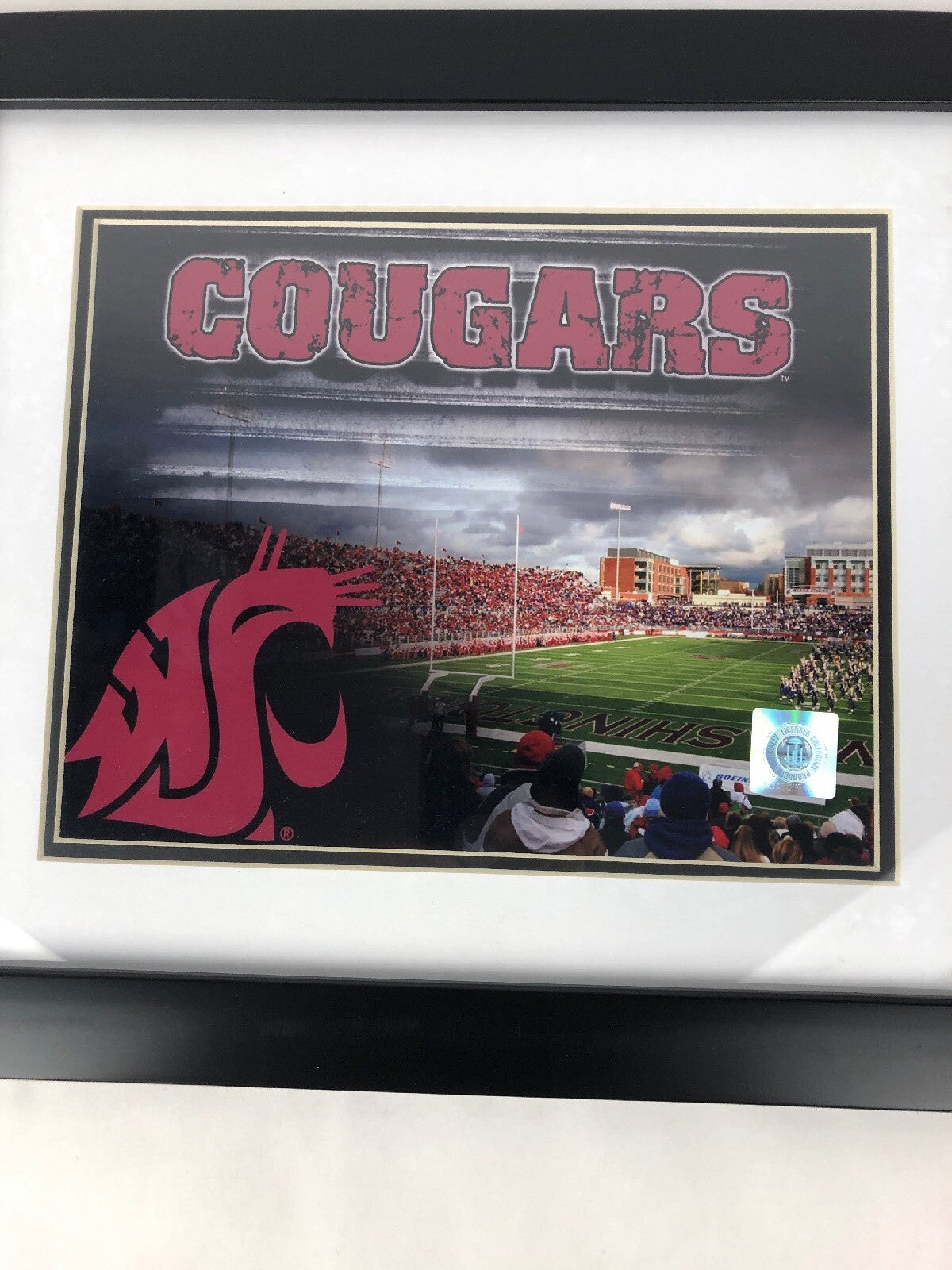 WC Washington Cougars Officially Licensed Framed Matted Stadium Photo Picture