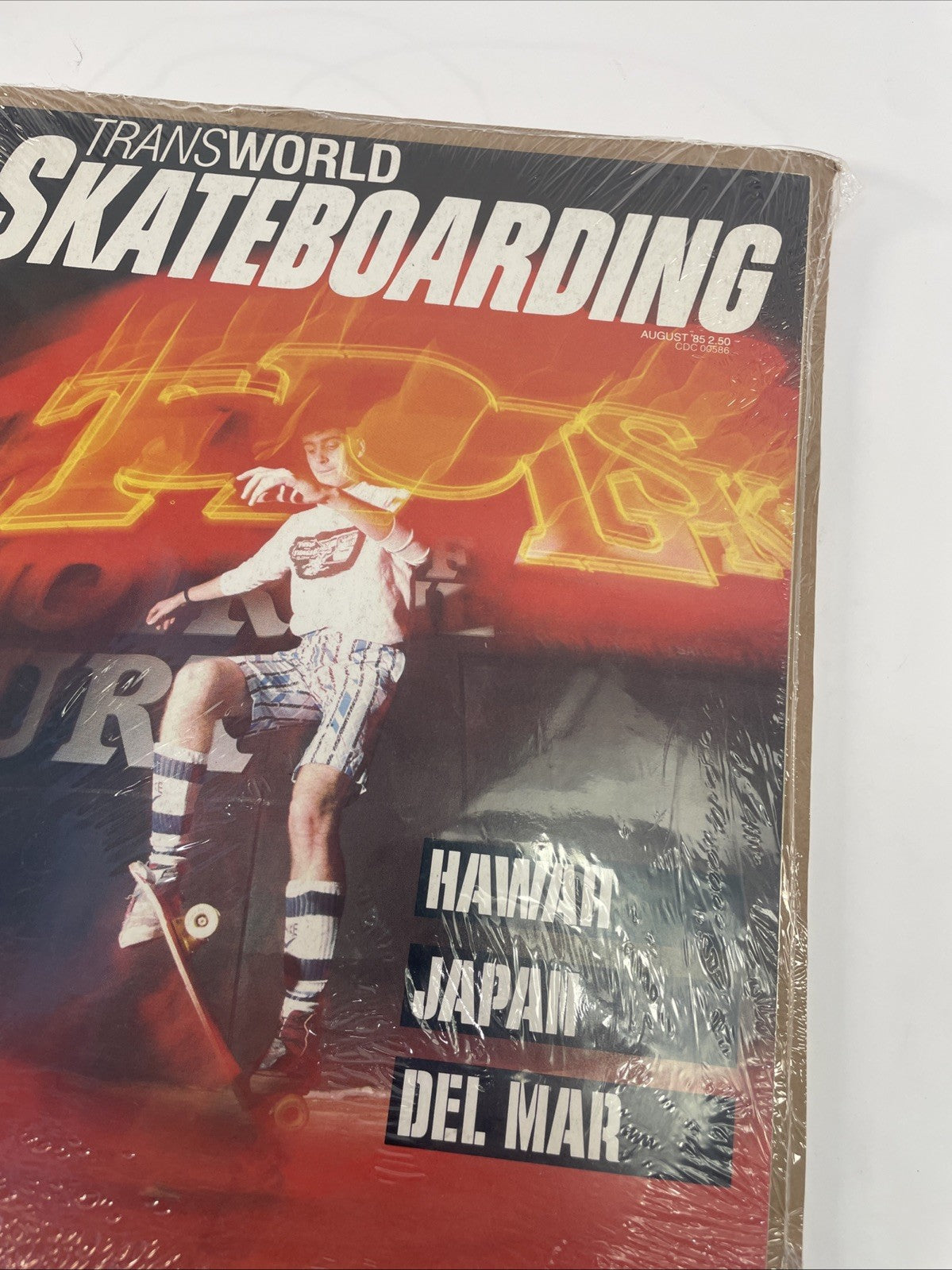 TRANSWORLD SKATEBOARDING MAGAZINE August 1985 Paul Sumnan The Godoys 8/85 aug