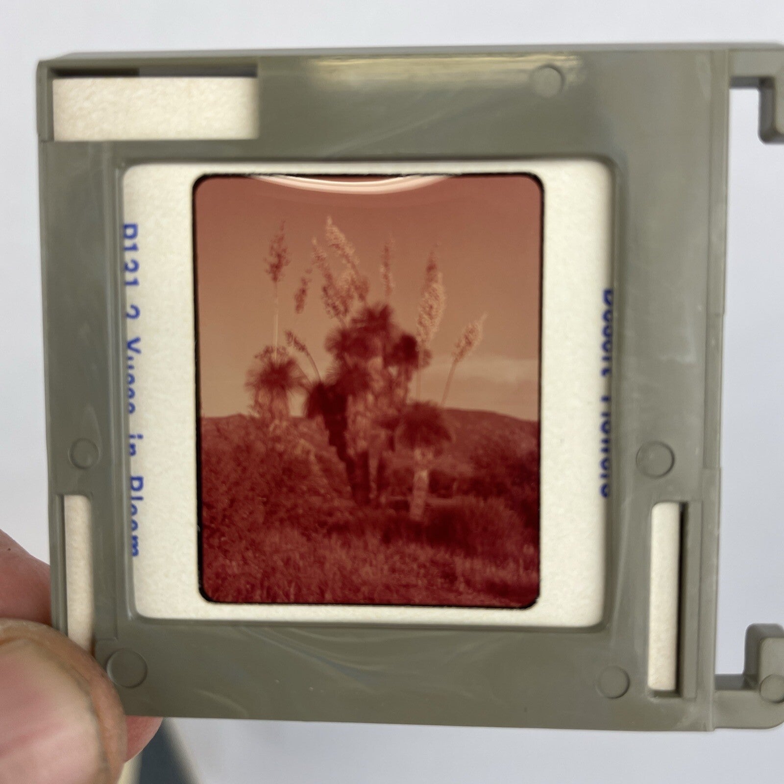 Lot of 6 x Bell & Howell Master Forty Slide Trays + 237 Vintage 1960 Slides LOOK