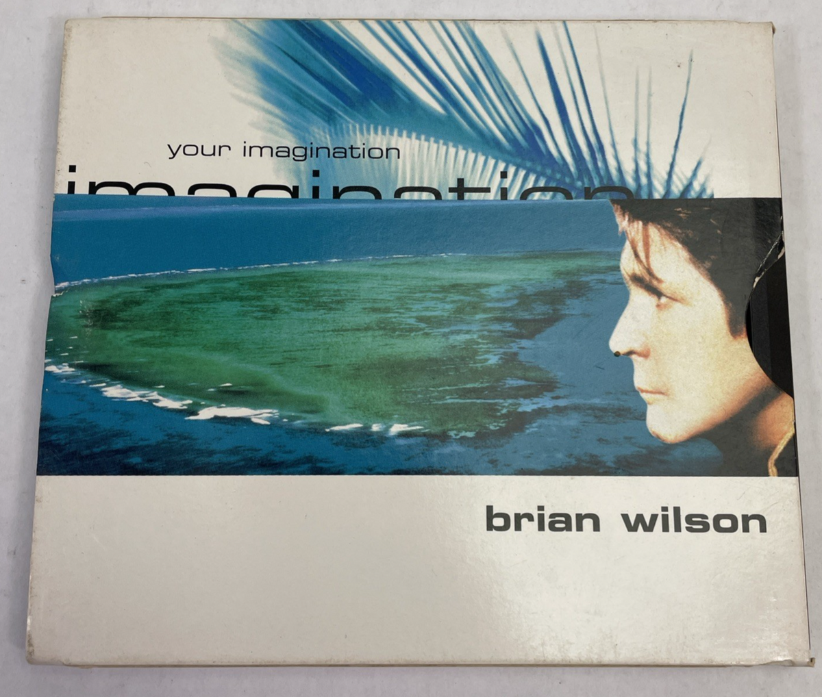 BRIAN WILSON YOUR IMAGINATION MAXI-SINGLE CD 1998 IMPORT THE BEACH BOYS GIANT