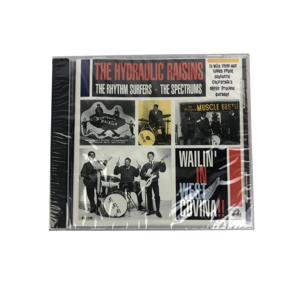 NEW The Hydraulic Raisins The Rhythm Surfers The Spectrums Big City Surfer CD#34