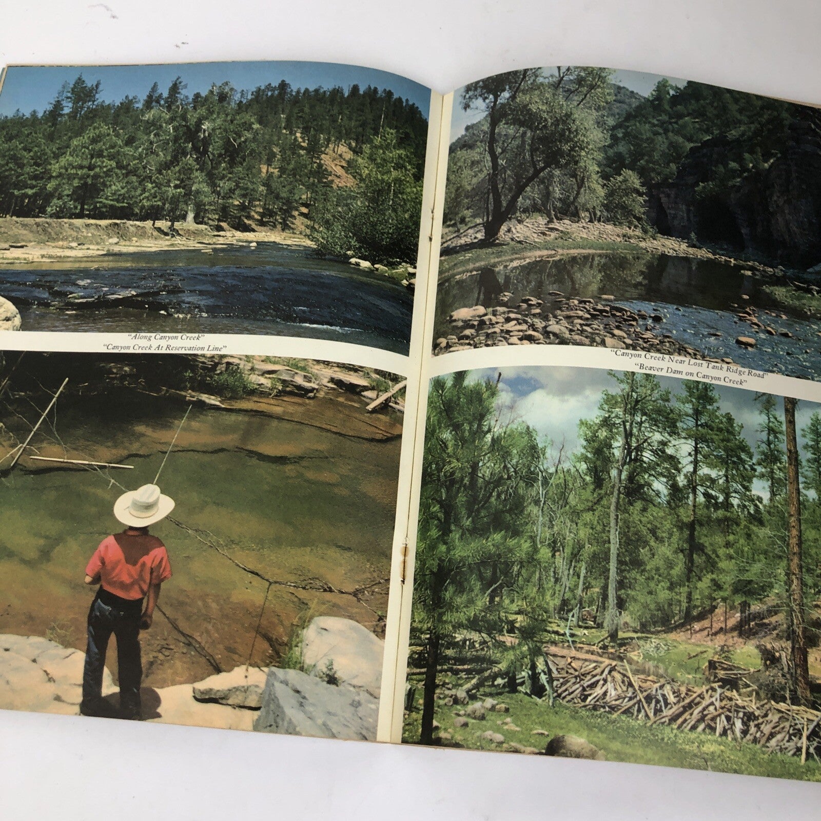 Vintage ARIZONA HIGHWAYS Magazine - June  1963 Featuring Canyon Creek * VGC *