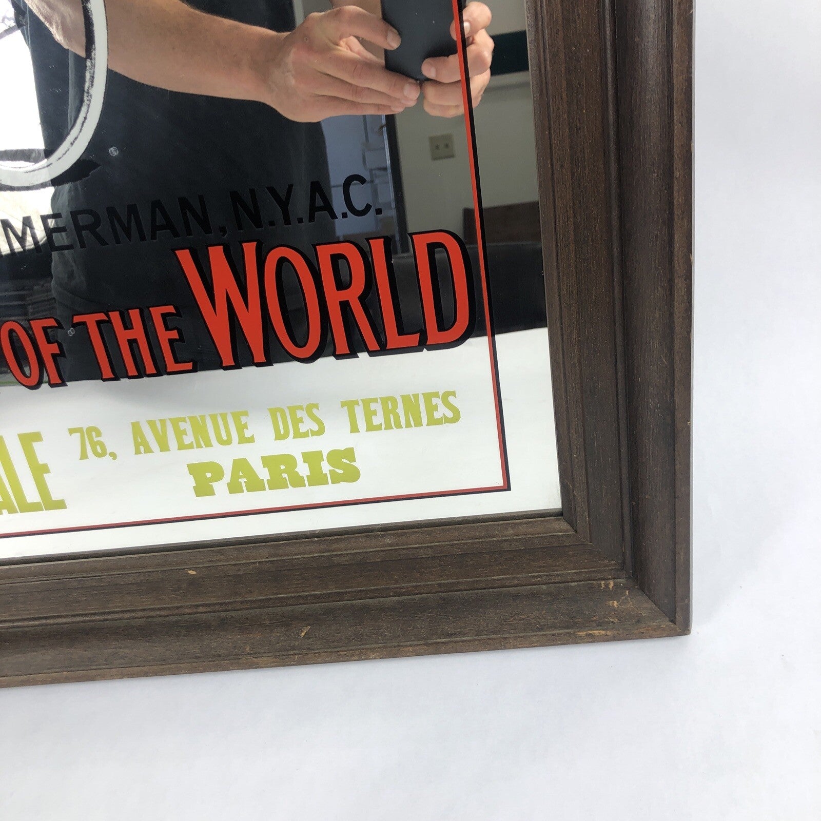 1970's Hoyne Industries Inc Raleigh Bicycle Glass Mirror Wall Art World Champion