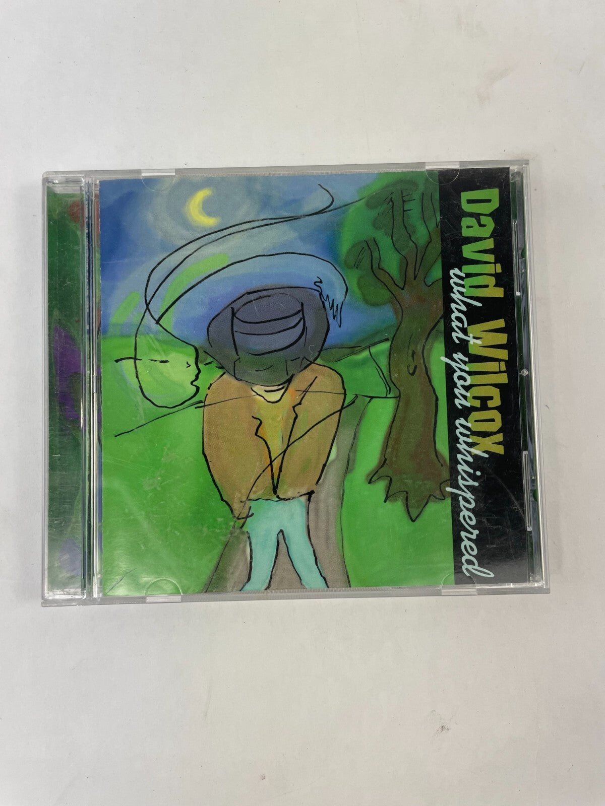 David Wilcox What You Whispered What You Whispered The Traffic Deeper StillCD#73