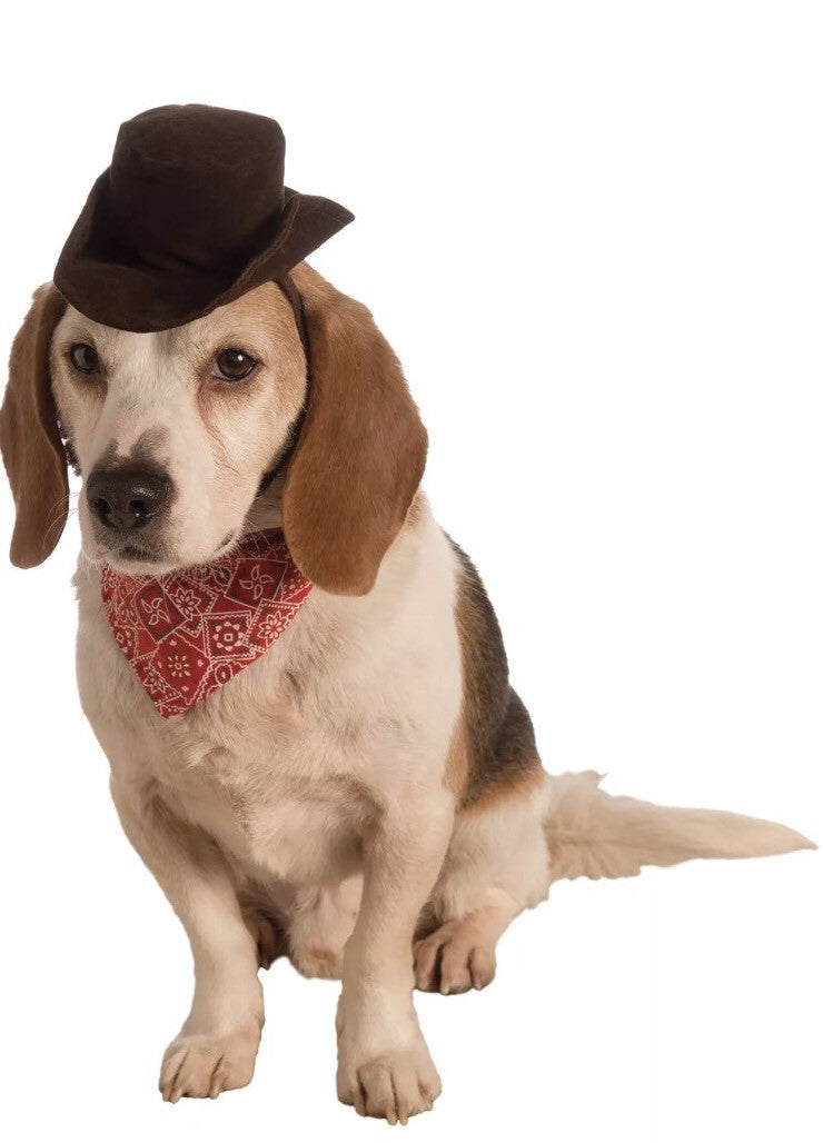 Rubies Boutique Costume Company Pet Cowboy Accessory Set, Small/Medium