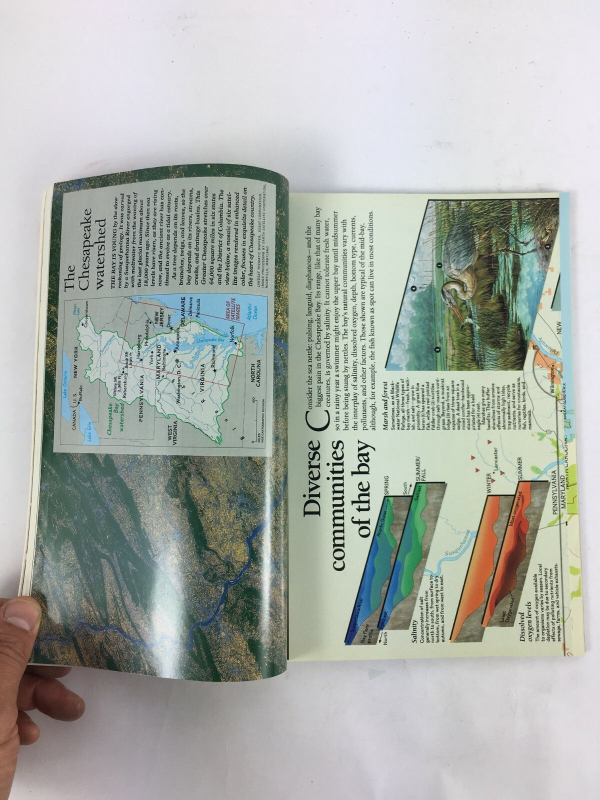 June 1993 National Geographic Magazine Hanging in the balance Chesapeake Bay