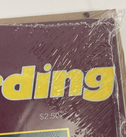 Vintage Transworld Skateboarding Magazine April - May 1984 ( Trans World ) VGC