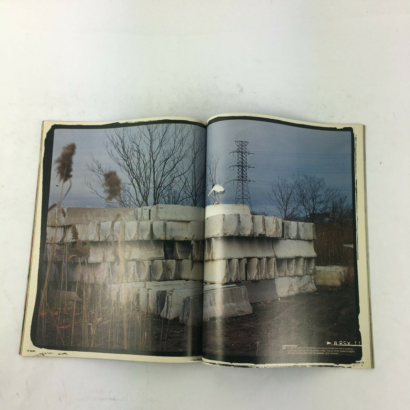 June 1999 Slap Skateboard Magazine featuring Trail by Fire, Get Cooked, and Seek & Destroy.