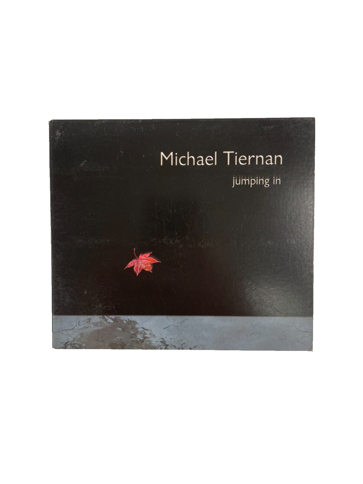 Michael Tiernan Jumping In Swim Slow Down Child O Your Floor Jumping In #S-T
