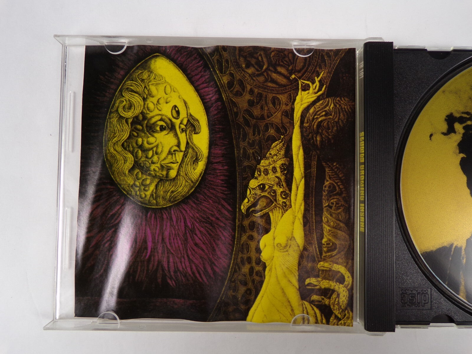 Growing Slowly Insane CD #26
