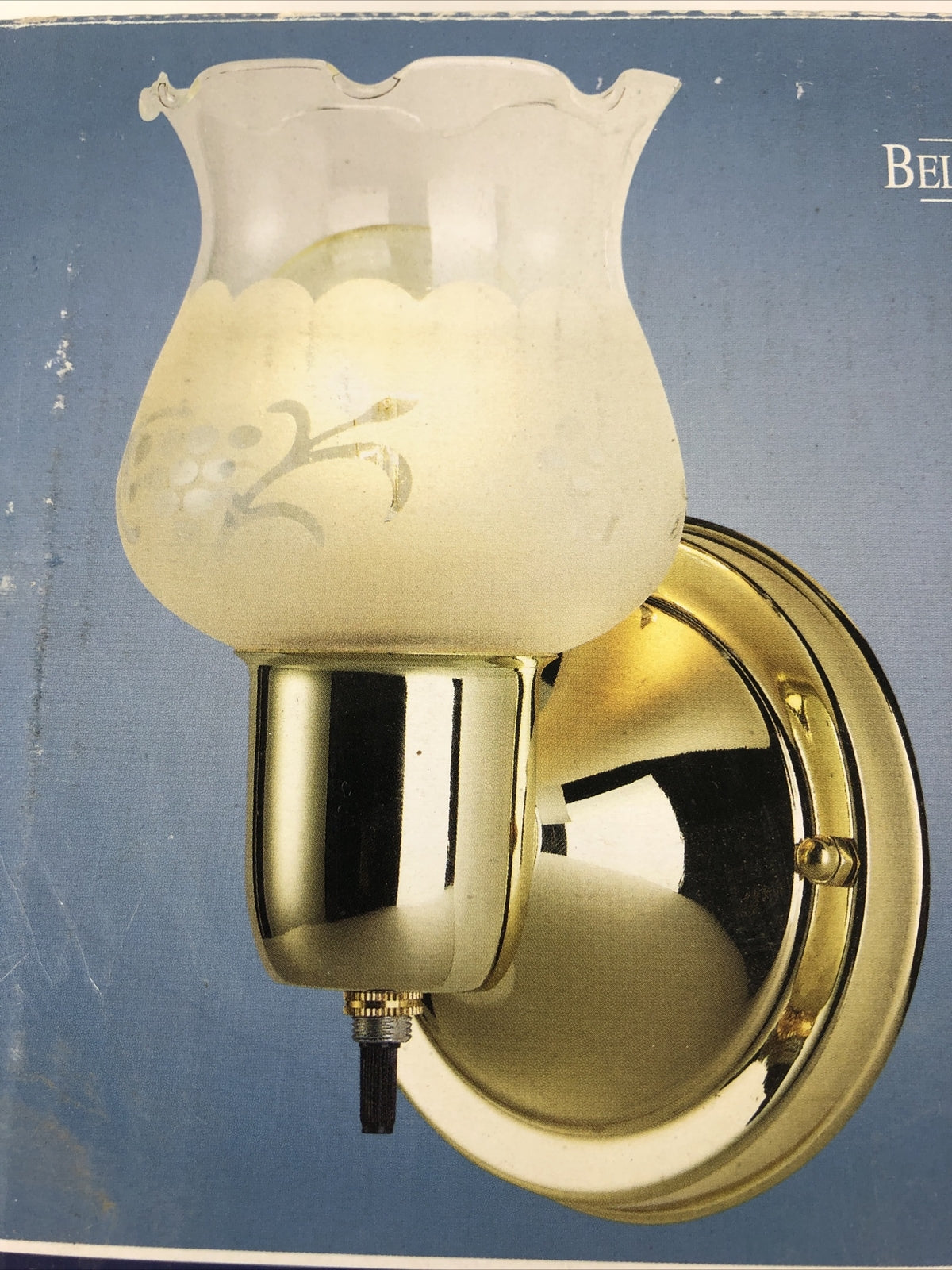 Bel Air Lighting Wall Sconce Light Polished Brass with Frosted Grape Glass NOS