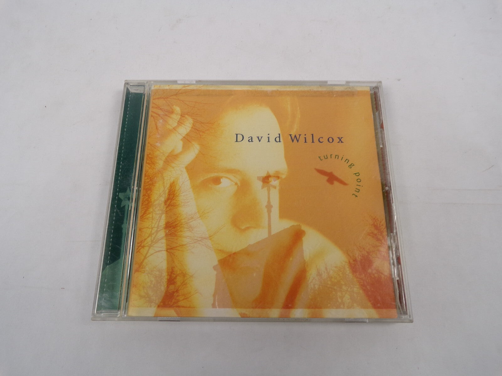 David Wilcox Silent Prayer Western Ridge Glory Kindness Spin Right Now CD#30